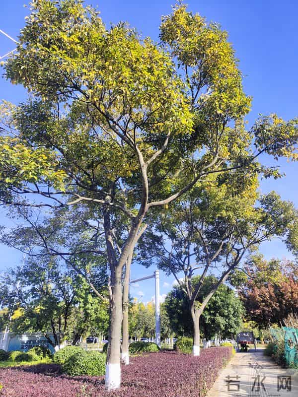 蛇不知道它有毒人不知道有错因为每个人只会站在自己的角度看问题