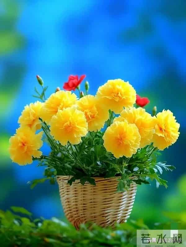 情感：人到70岁80岁，如果还想活20一30年，必须记住这5句话