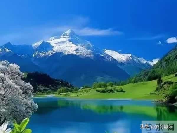 走过半生才懂:青丝渐白,岁月不饶人,原来都是生活的温柔注脚