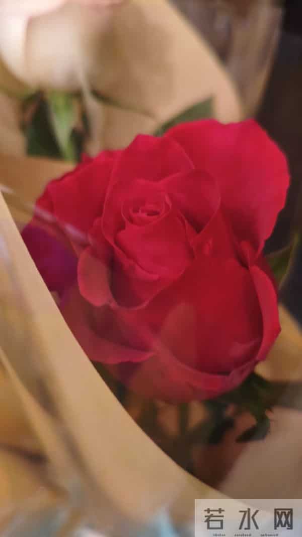 助力你保持高能量的23个好习惯