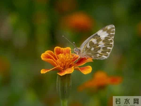 一段婚外情，留给男人的和女人的3个不同结局。