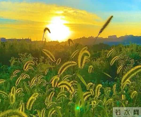 见解：幸福像阳光一样无处不在