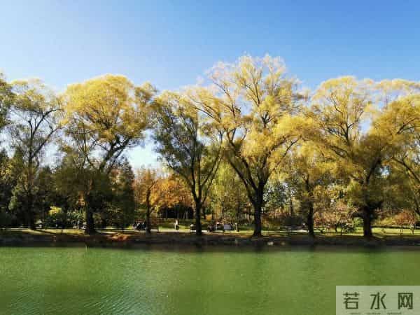 这段话,一辈子都写不出来,句句入心,永不过时,直接抄了