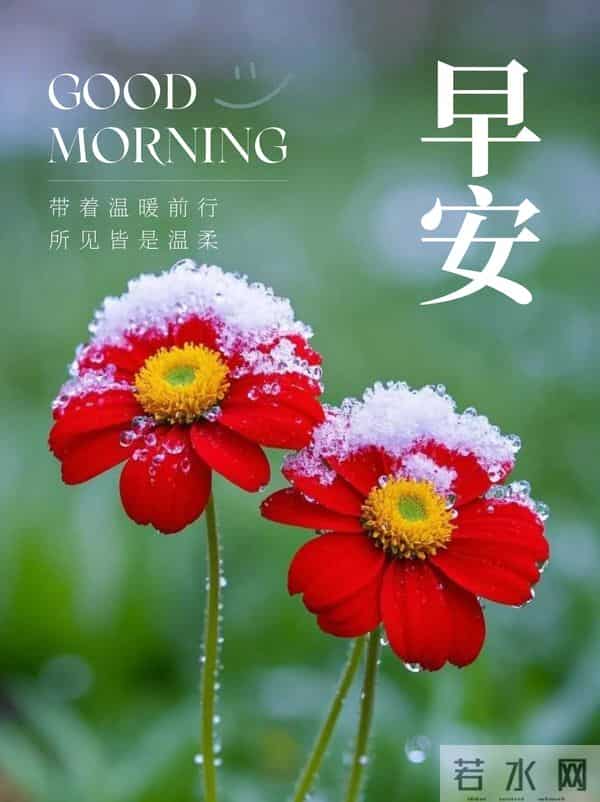 「11月27日」9张冬日早安图片:冬日有梦,幸福安宁