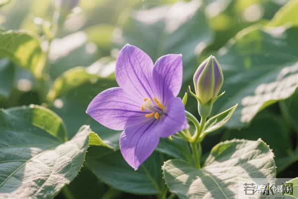 人这辈子，有三件事真的不能拿来炫耀，否则迟早要栽跟头