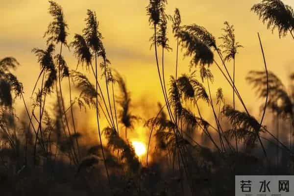 一辈子都写不出的金句，我为你整理了32句
