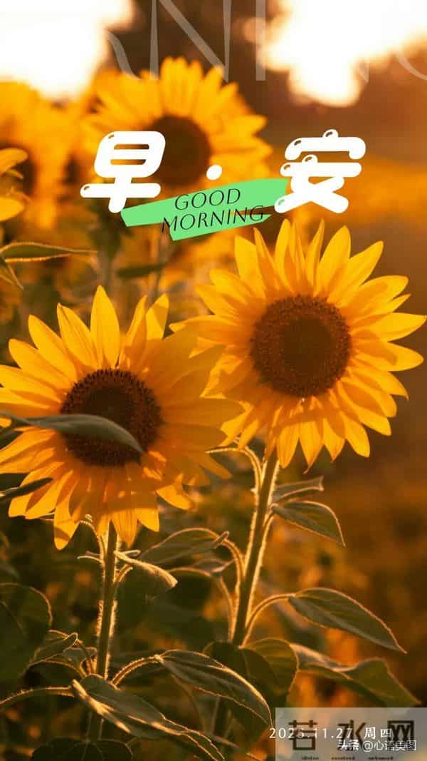 早安正能量图片文案：才华是刀刃，勤奋是磨刀石！