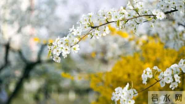 退休跟前夫离婚被儿子说自私,5200退休金不帮他,余生只想活自己