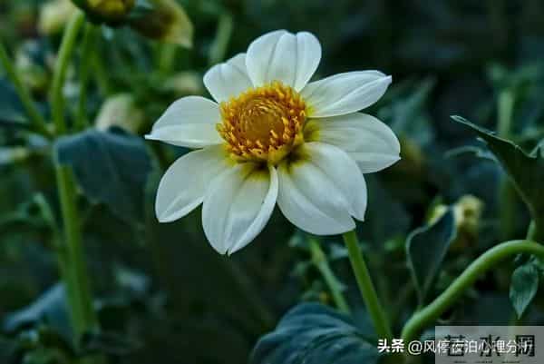 男女暧昧、越界后,值得余生相伴的人,会有4个发光条件