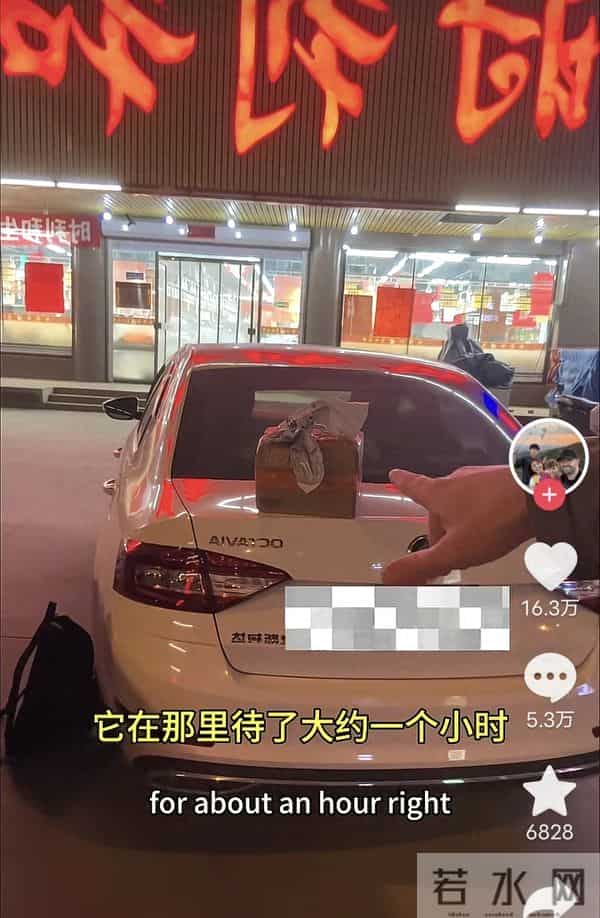 “中国式”信任惊呆老外