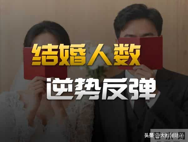 结婚人数多了40万对！年轻人终于愿意结婚了吗？能否逆转趋势？