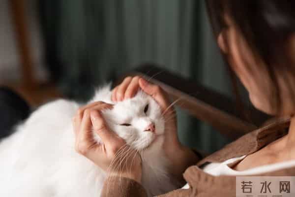 婚姻里，无论老公好坏，你都要顺着他，这不是软弱，是智慧