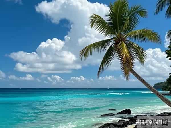 走过半生才懂:青丝渐白,岁月不饶人,原来都是生活的温柔注脚