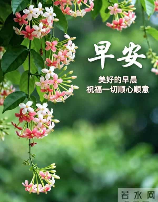 晨光轻抚大地时,那份柔情触动心弦,每个崭新日子都祈愿安宁