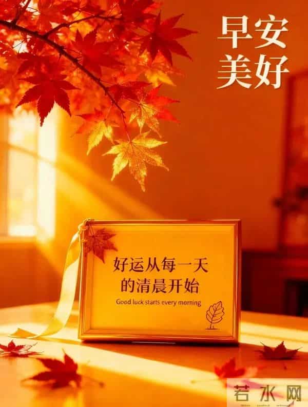 11月27日早上好 早上好清新淡雅图片 早上好图片最新今天 每日问候