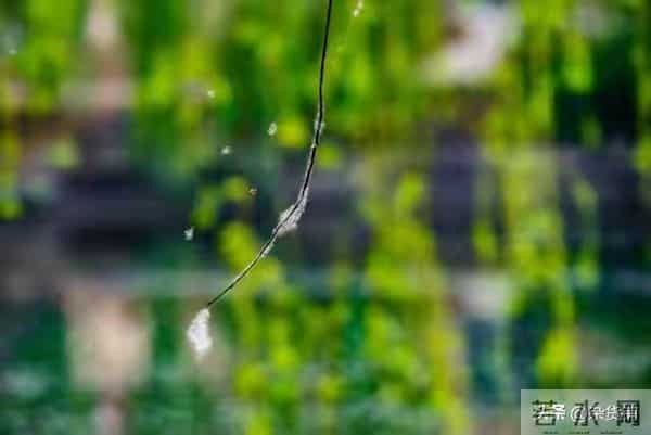 成年人能咽苦撑累,别硬扛委屈,善待脆弱方为真成熟