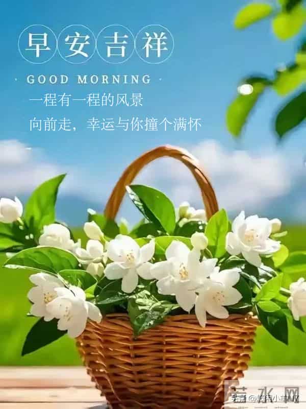 早安图片-愿今日的你不负晨光,好运将至~