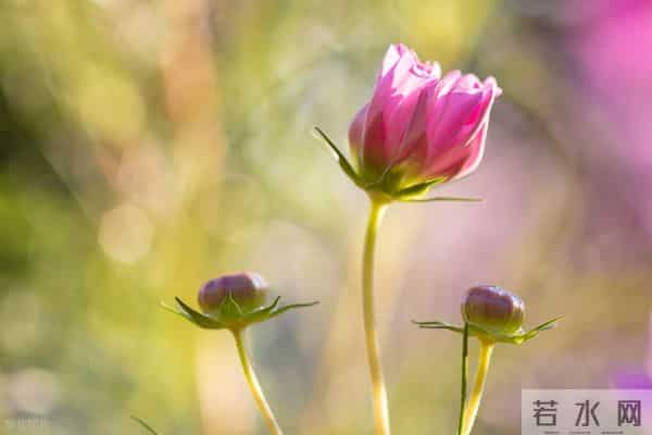 男人如此对你“装傻”，是心里没你的证据