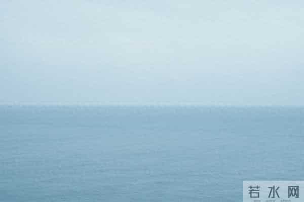 从小到大都很聪明,智商一直都在线的星座