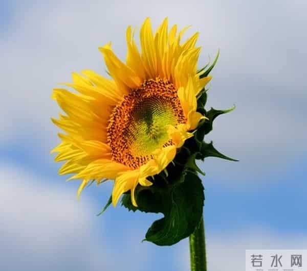 人生醒悟，世上本无事，庸人自扰之！