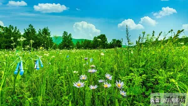 女人到了中年要明白：其实爱不爱已经不重要了，男人而已