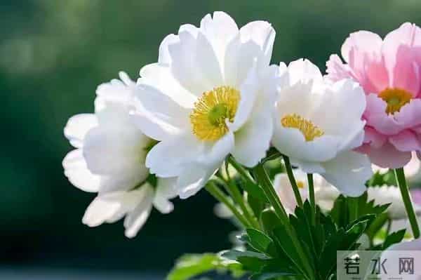 请告诉女儿:第一次去男方家,这几件事别做,才不会被人看不起!