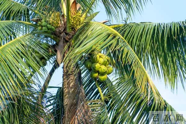 人老了才发现,想要跟子女关系融洽,聪明的老人都会这样做!