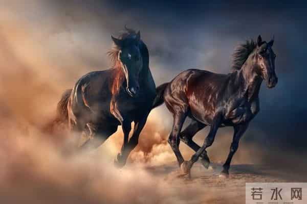 真正的“黑马”星座,不是不爆发,只是时候未到!