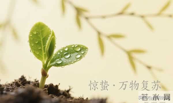 是天意有意让你看到此文，你命中有的早晚都会到你手中