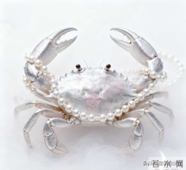 巨蟹座12月上旬情感走向:破茧觉醒,断舍离后的新生