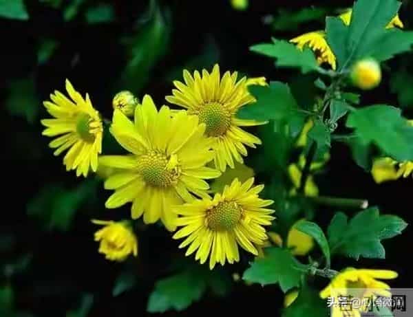 人性潜规则：看懂这30条，为人处世不吃亏，值得收藏