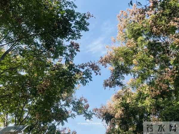 一个家庭中突然冒出这两件“喜事”，是走向衰败的征兆，别不在意