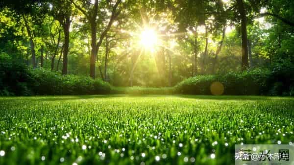 别以为善良是软弱,厚道人不计较,但老天从不偏袒任何人!