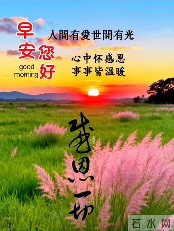 知恩于心,感念于行,常怀感恩,以心汇暖,让感恩铺满初冬的晨光