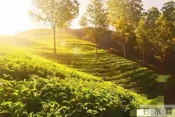 六十五岁以后,最好的活法,屏蔽掉外在的一切干扰