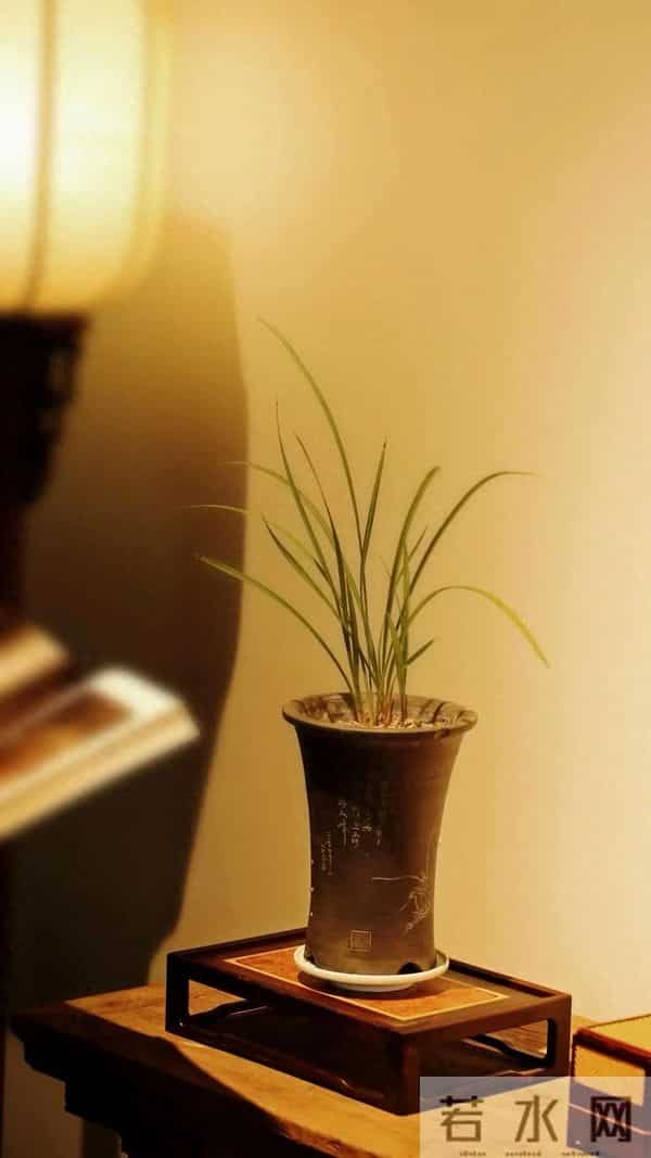 格局越大,福气越深