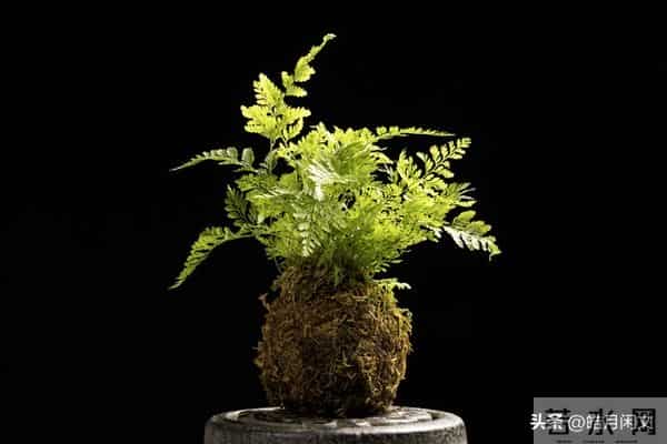 致所有爸妈:愿娃一生,平安有底气,顺遂有光亮