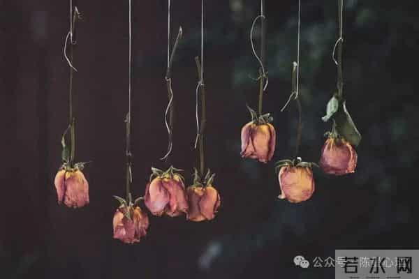 走不出背叛的阴影,是因为你不想走出来!