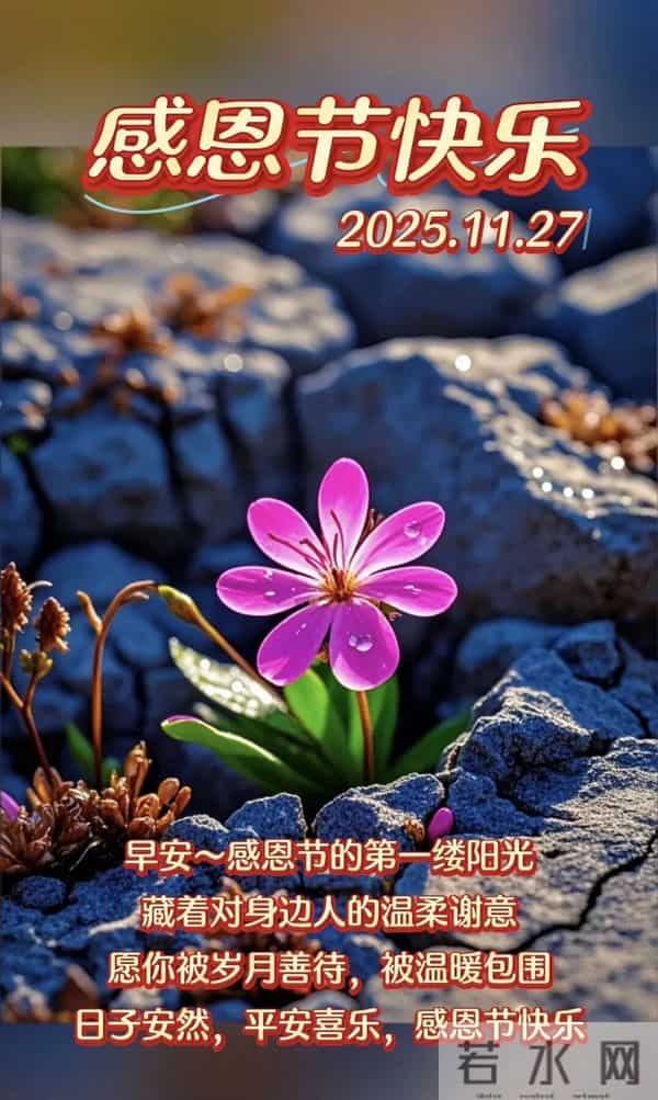 初冬第19天，今日感恩节，感恩遇见，感谢有你