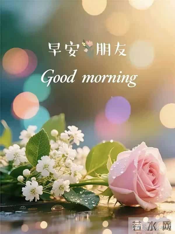 早安图片-愿今日的你不负晨光,好运将至~