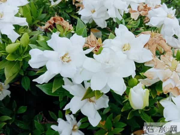 婚姻中，即便对方再优秀、再帅气，都不如找个对你依赖较少的配偶