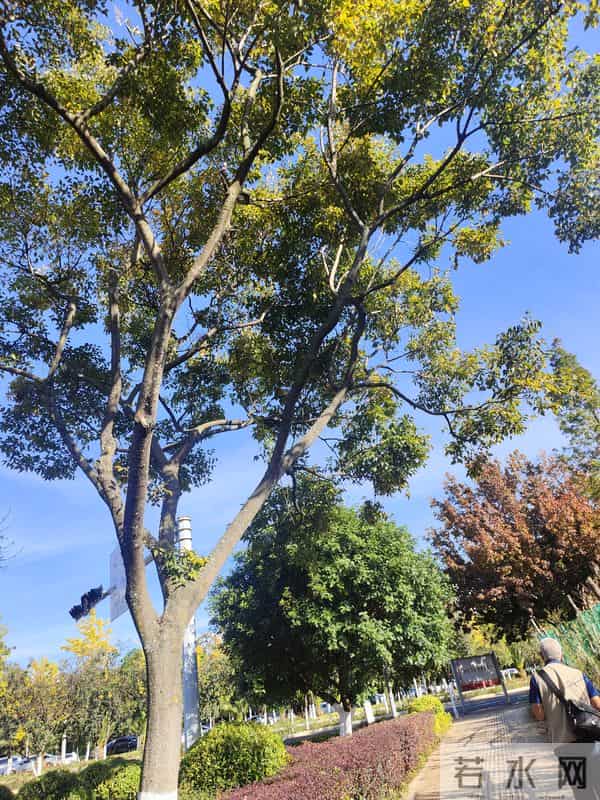 蛇不知道它有毒人不知道有错因为每个人只会站在自己的角度看问题