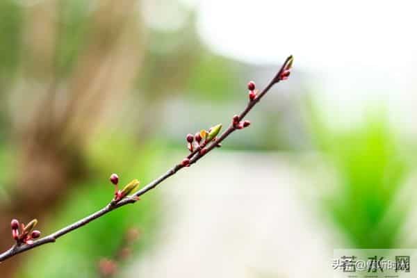 从明天起,你的人生将开启全新篇章,信不信由你!