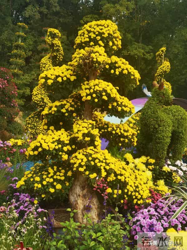 【经典名言荟萃】781 唯有心灵的安静,方能铸就人性的优雅