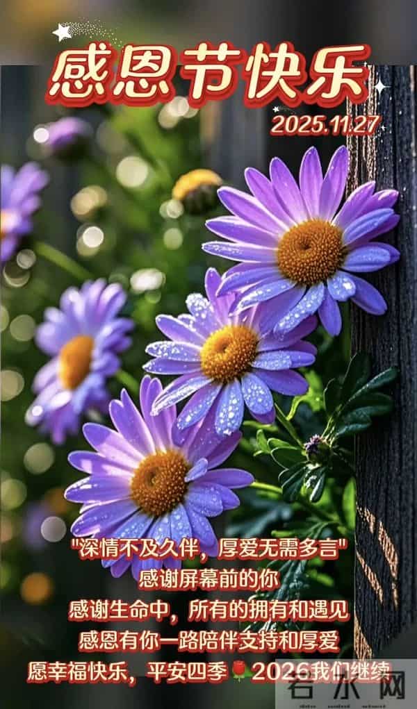 初冬第19天，今日感恩节，感恩遇见，感谢有你