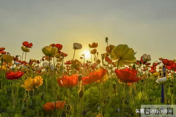 征服一个男人,三方面干净一点,更让他痴迷