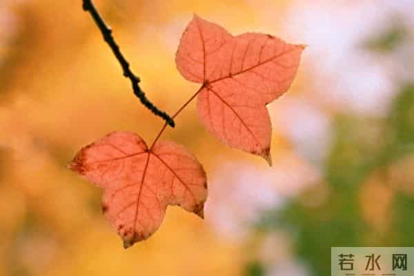 老了才明白：如果一个人独处很舒服，说明你就是个非常强大的人！