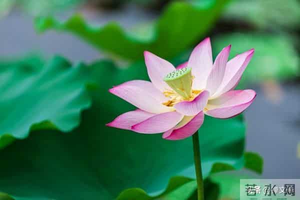 越是“理性”的女人，就越高级，她藏在这些为人处世的细节里