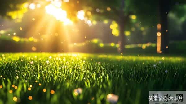 别以为善良是软弱,厚道人不计较,但老天从不偏袒任何人!