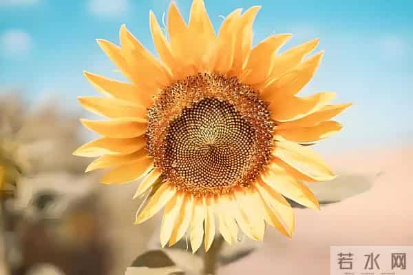 【生活日记】母亲手术成功，愿一切安好